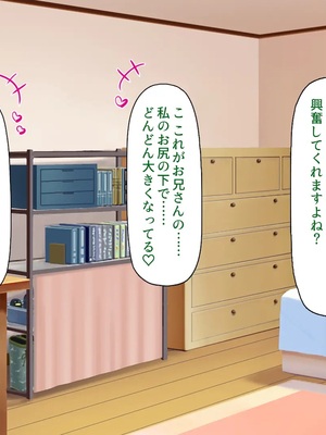 [ミミズサウザンド]責任とってよお兄さん♪おバカなゆるかわ女子校生のデキ婚大作戦_0079