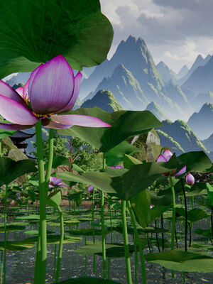 [ウキ] 不敬仙 01-10_0215