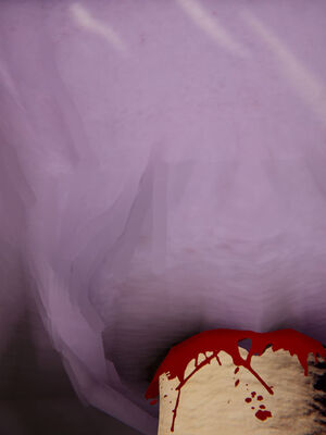 [ウキ] 不敬仙 01-10_0322