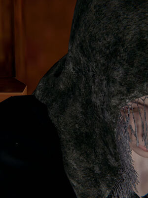 [ウキ] 不敬仙 01-10_0480