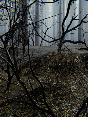 [ウキ] 不敬仙 01-10_0489