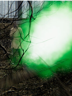 [ウキ] 不敬仙 01-10_0492