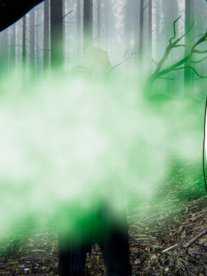 [ウキ] 不敬仙 01-10_0502