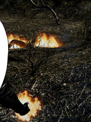 [ウキ] 不敬仙 01-10_0508