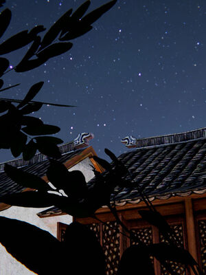 [ウキ] 不敬仙 01-10_0523