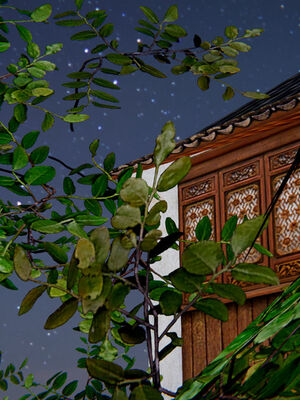 [ウキ] 不敬仙 01-10_0559