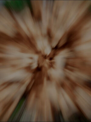 [ウキ] 不敬仙 11-17_0178