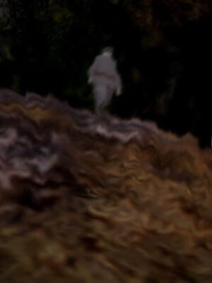 [ウキ] 不敬仙 11-17_0192