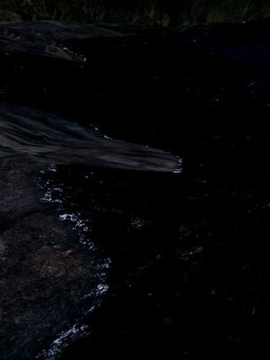 [ウキ] 不敬仙 11-17_0293