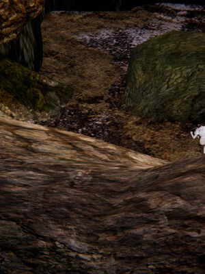 [ウキ] 不敬仙 11-17_0311