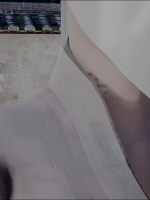 [ウキ] 不敬仙 11-17_0351