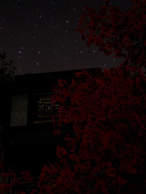 [ウキ] 不敬仙 11-17_0359