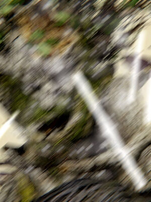 [ウキ] 不敬仙 11-17_0405