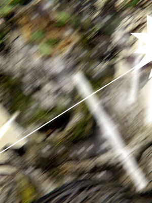 [ウキ] 不敬仙 11-17_0406