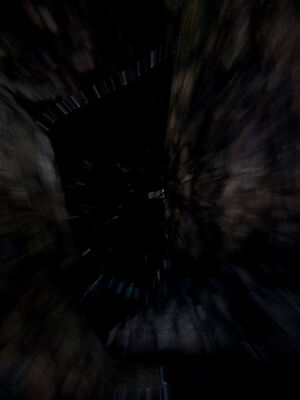 [ウキ] 不敬仙 11-17_0444