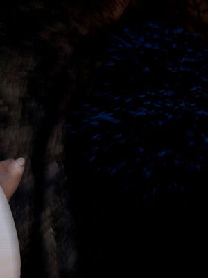 [ウキ] 不敬仙 11-17_0446