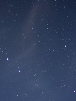 [ウキ] 不敬仙 11-17_0654