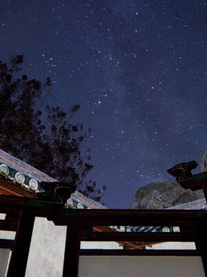 [ウキ] 不敬仙 11-17_0655