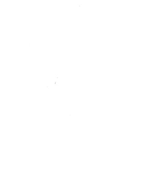 (C105) [さね野郎] TSアニキをわからせる!!_27