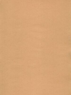 [ROUTE885 (ハチウルフ)] ワタシはキミのもの (BanG Dream!)｜我是属于你的 [R6m个人汉化]_04