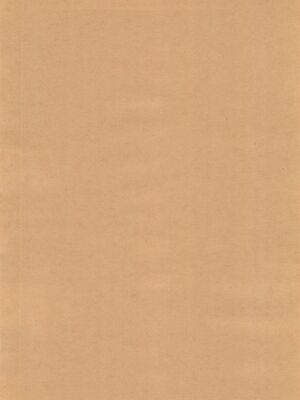 [ROUTE885 (ハチウルフ)] ワタシはキミのもの (BanG Dream!)｜我是属于你的 [R6m个人汉化]_05