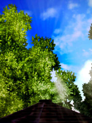 [死神]我的黑帮生涯14_14_555