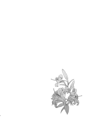 [白ネギ屋 (miya9)] 博士の夜の助手。 総集編 (ポケットモンスター サン・ムーン) [DL版]_07