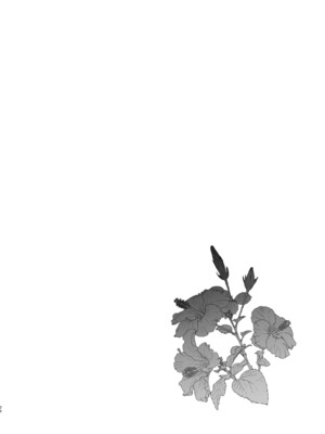 [白ネギ屋 (miya9)] 博士の夜の助手。 総集編 (ポケットモンスター サン・ムーン) [DL版]_25