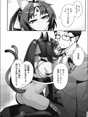 (C105) [謎のジャンボシャコマン (Richard Li)] トム・キャットによろしく (ゼンレスゾーンゼロ)_30