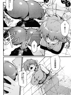 (C105) [ミッブリー (MIBRY)] RANKO1／2 + YPPAPPA (らんま 1／2)_05