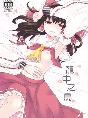 [現実逃避 (リコ)] カゴノトリ (東方Project) [Nonothird个人翻译]_02