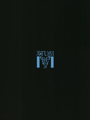 [厚木で5時 (みうらっは)] 絶対魔獣輪姦 (Fate／Grand Order) [中国翻訳] [DL版]_47