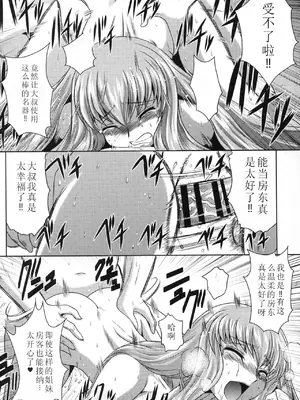 (C88)[ぶるーびーん (要青豆)] C2lemon@A1 (コードギアス 反逆のルルーシュ) [个人机翻 + 润色]_11