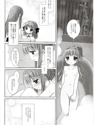 (C103) [D・N・A.Lab.、CHRONOLOG (ミヤスリサ、桜沢いづみ)] 箱入りお嬢様の許嫁_27