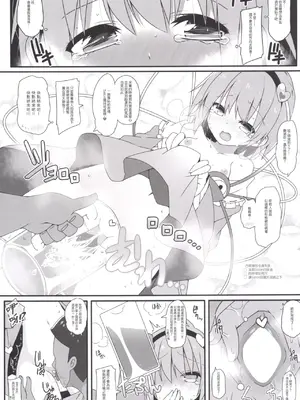 (C89) [コーラーボルト (平国風鈴)] MissionIn：Pink (東方Project) [明稿昨拖漢化組]_17