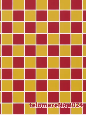 [てろめあな (ぐすたふ)] ふたりだけの秘密の温泉旅行 (機動戦士ガンダムSEED FREEDOM)｜独属于二人的秘密温泉旅行 [暴碧汉化组] [DL版]_32