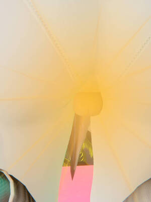 [suddenly]为所欲为 19-28 魔都大战篇_0621