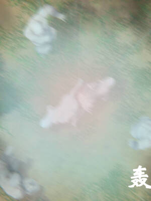 [suddenly]为所欲为 19-28 魔都大战篇_0715