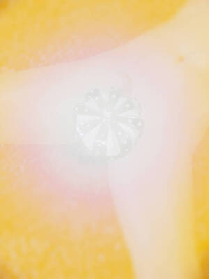 [suddenly]为所欲为 19-28 魔都大战篇_1528