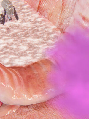 [suddenly]为所欲为 前传-欲望深渊01-04(完)_0141