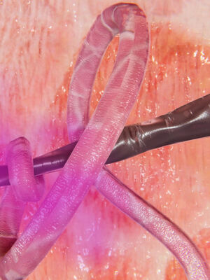 [suddenly]为所欲为 前传-欲望深渊01-04(完)_0154