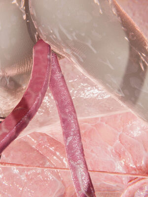 [suddenly]为所欲为 前传-欲望深渊01-04(完)_0202