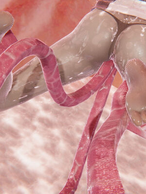 [suddenly]为所欲为 前传-欲望深渊01-04(完)_0282