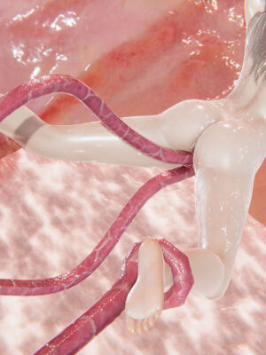 [suddenly]为所欲为 前传-欲望深渊01-04(完)_0292