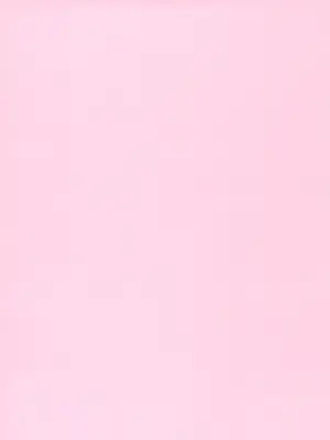 (C104) [たらたまご (tarako)] サクラコ様は勉強したい (ブルーアーカイブ) [中国翻訳]_27