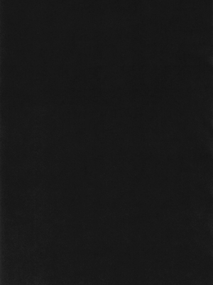 [肉樂園 (豊臨)] 女狐の交尾 (ブルーアーカイブ) [中国翻訳] [DL版]_26