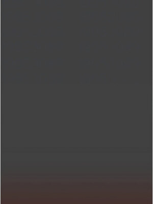 掠奪行動 37-38話_38_12