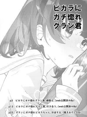 (C103) [めりーめろいん (はみおーら)] ビカラにガチ惚れグラン君 (グランブルーファンタジー) [维者个人汉化]_11