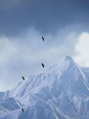 [W_XHNB]要学理吗01-04_0443