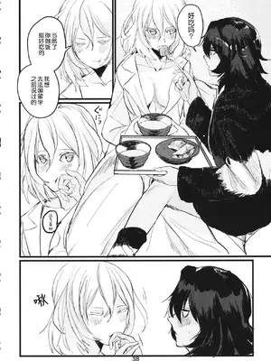 (C95) [GOLEM,Inc. (いとう)] 冬の残光／5年のエコー (ガールズ&パンツァー)｜冬之余晖 ／ 5年的回响 [ExtraAi个人汉化]_37